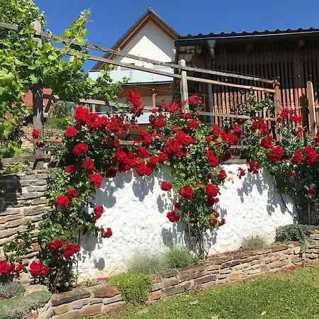Exklusive / / Luxury Appartamento