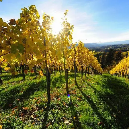 Exklusive Ferienwohnung / / Luxury Holiday Lejlighed *