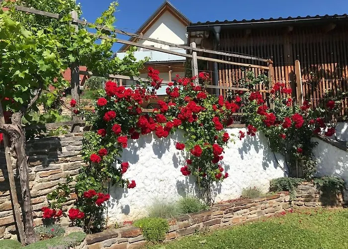 Exklusive / / Luxury 公寓