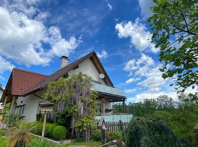 公寓 Exklusive / / Luxury 施泰因茨