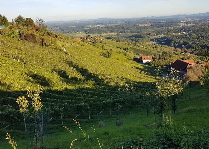 Exklusive / / Luxury 施泰因茨