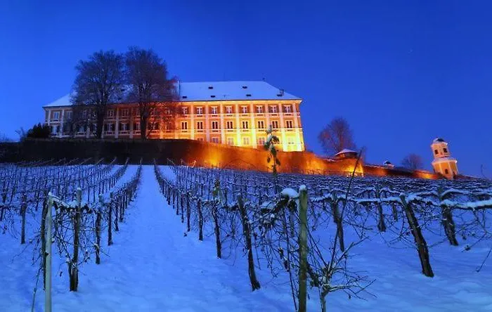 Exklusive / / Luxury