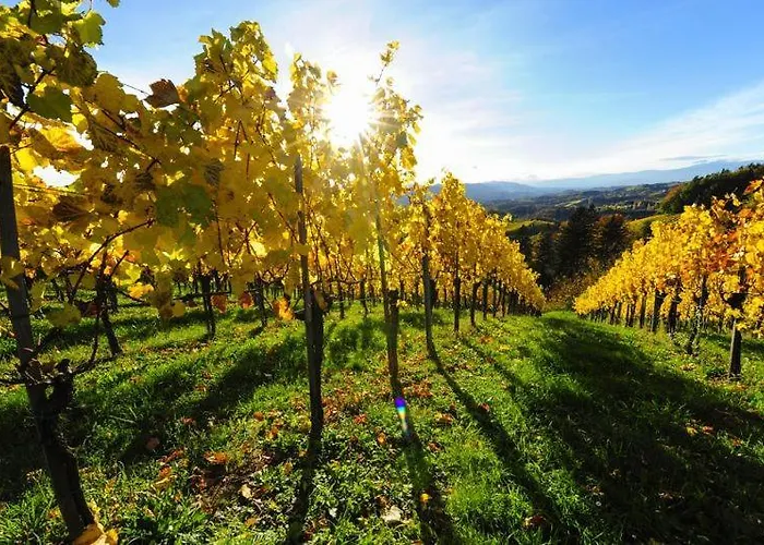 Exklusive / / Luxury 公寓 *