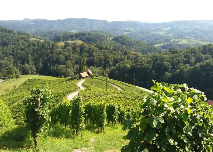 Exklusive / / Luxury 公寓