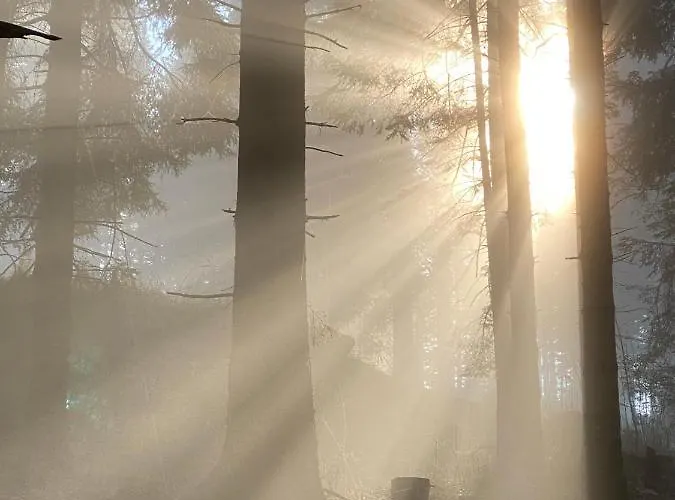 Exklusive / / Luxury 公寓