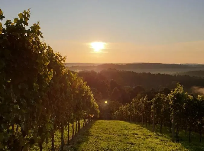 Apartment Exklusive / / Luxury *