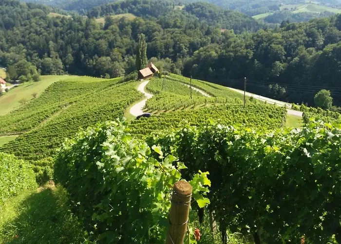 公寓 Exklusive / / Luxury